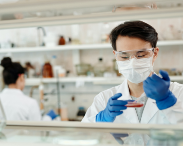 Будущее компании